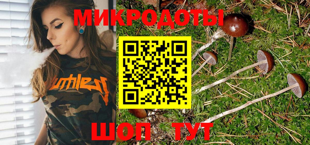 Галлюциногенные грибы мицелий Сарапул