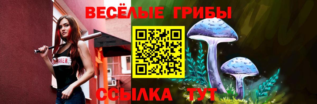 Псилоцибиновые грибы GOLDEN TEACHER  Вход с VPN  Сарапул 